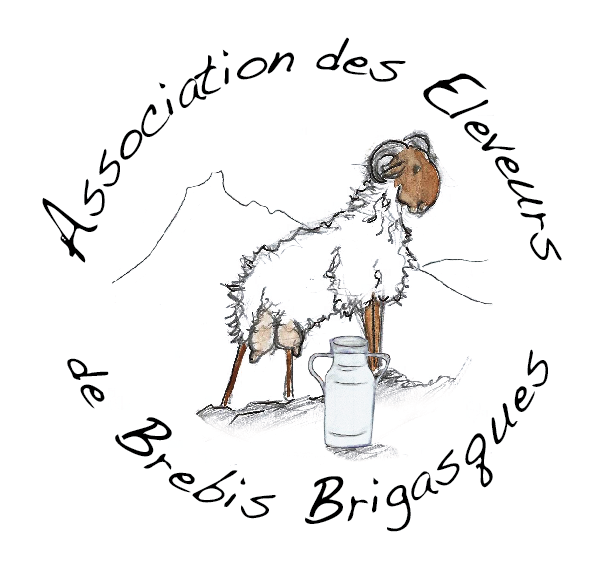 La brebis brigasque